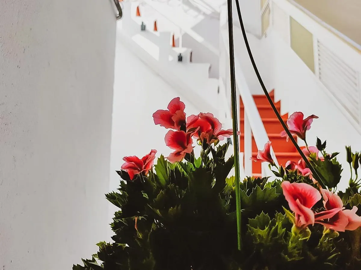 Alma Canaria Rooms Las Palmas de Gran Canaria Guest house